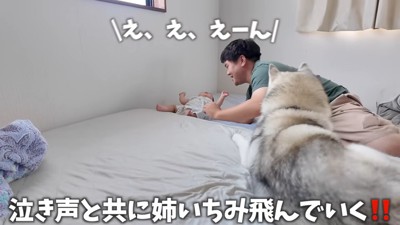 赤ちゃんが転がって泣き出すと…