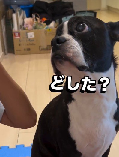 優しい目でアイコンタクト