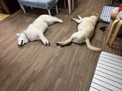 一緒