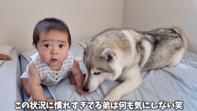 お手々をペロペロ♡