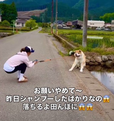 「絶対にダメ!!」