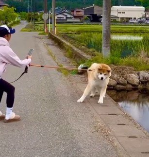 「泥遊びしたい!!」