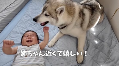 赤ちゃんも嬉しそう♪