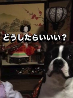 ぎこちないスタート…