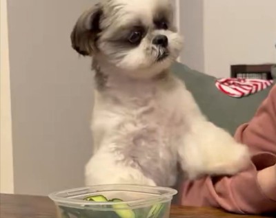 パンチ
