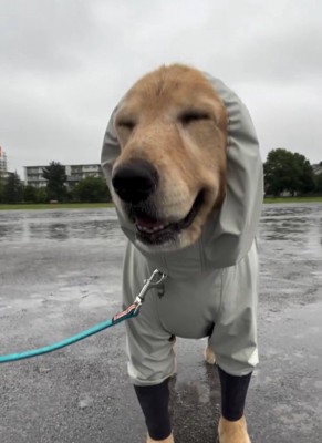 目を細めるジャスミンちゃん