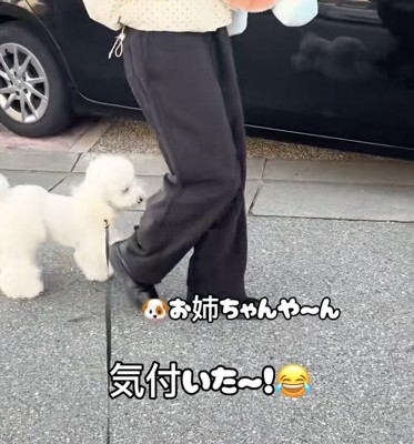 お姉ちゃんにくっついて歩きます