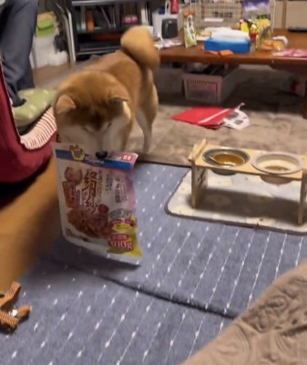 袋を目の前まで届ける犬