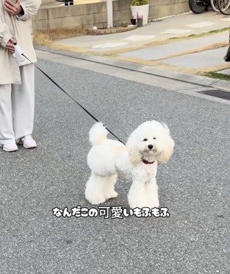 お姉ちゃんを目で追います