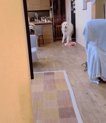 「なに？？」