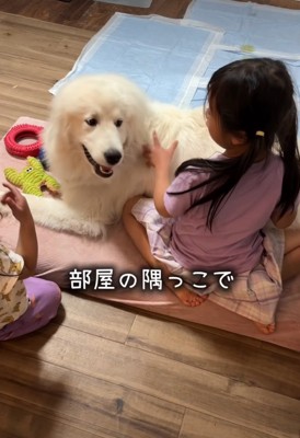 笑顔の犬