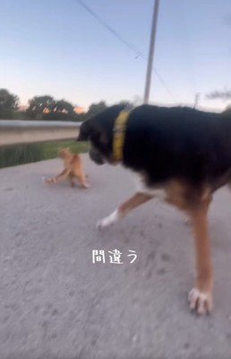 カオスな光景
