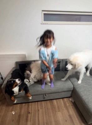 ソファの上で飛び跳ねる女の子