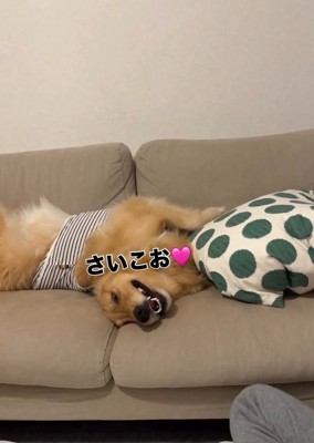 嬉しそうなにこちゃん