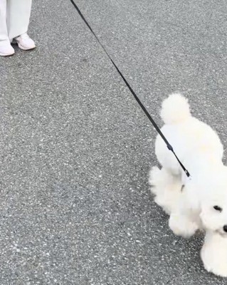 「おかえりー！」