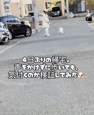 4日ぶりの再会です