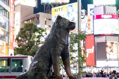 ハチ公の像