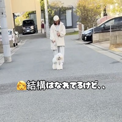 見られてる…？