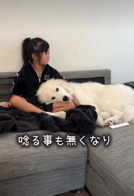 膝枕してもらう犬2