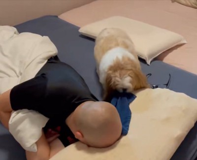 枕