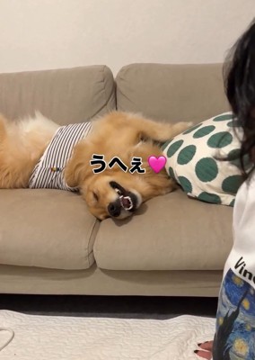 とろける笑顔のにこちゃん