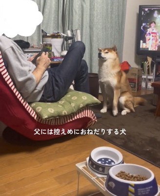 人の前に座る犬