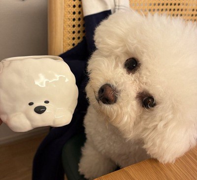 マグカップと犬