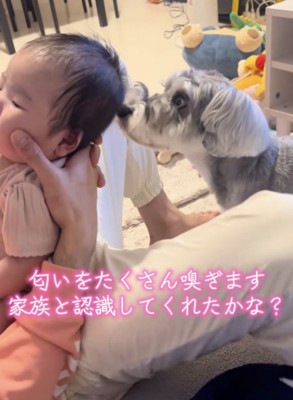 クンクン…