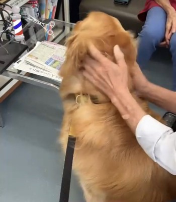 耳下をマッサージ