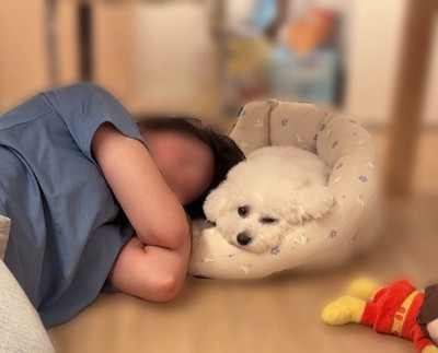眠る人と犬