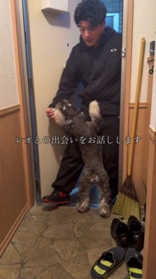 飼い主を玄関まで出迎えに来た犬