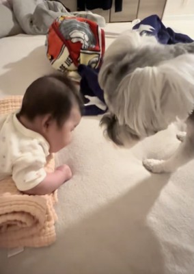 じっと見守ります