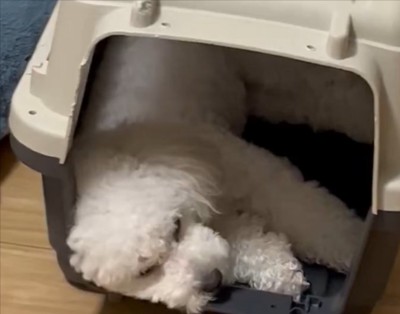 ぐっすり
