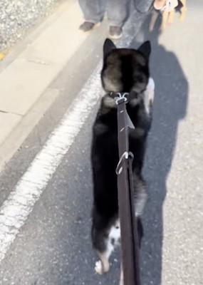 「おじいちゃんだ!」