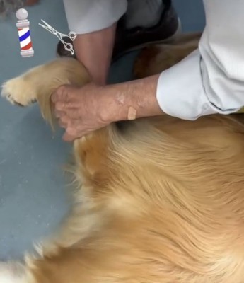 お腹をマッサージ