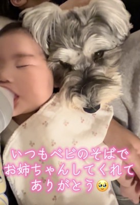キュンとしてしまいます