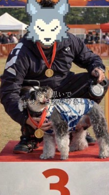 メダルを首から下げる犬と飼い主