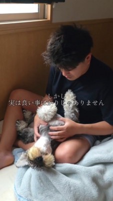 仰向けになって、飼い主にじゃれつく犬