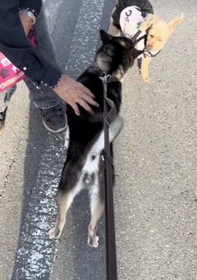 ちょっと引かれてる…?