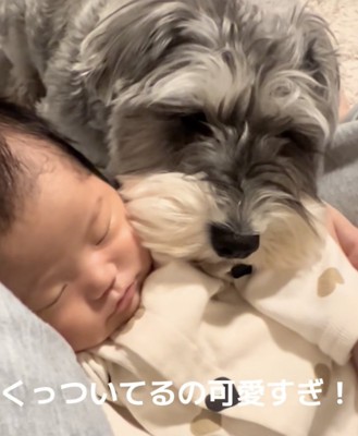 これからの関係性も楽しみ