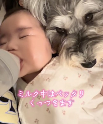 赤ちゃんにピタッ