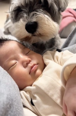 赤ちゃんをじーっ…