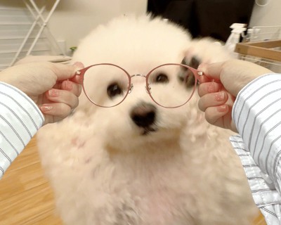 メガネ