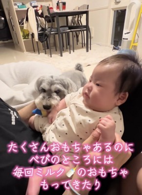 手に持たせてあげようとしてる？