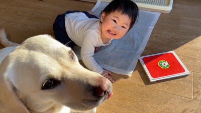 あっという間に仲直り♡