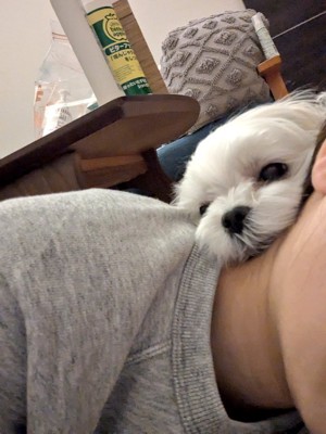 ちょこん