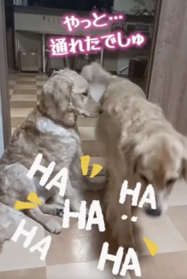 無事、通過に成功