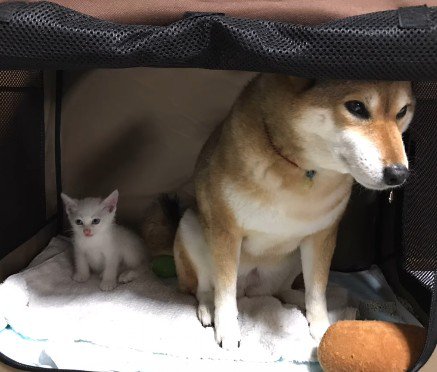 怖いときも一緒なら…