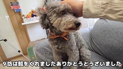 ナデナデ…♪