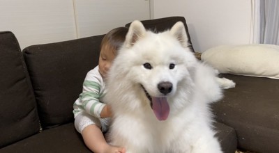 ニコニコ